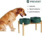 Havniva Ceramic Raised Double Bowls Set with Stand, Food & Water Bowls for Large Breed Dogs, Weighted Dog Dishes, Pet Bowl(8.2'',60OZ, Green)