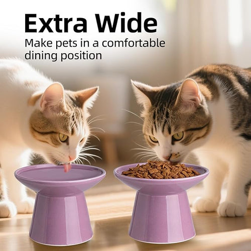 6.2 Inch Extra Wide Elevated Ceramic Cat Bowls, Food and Water Bowl Set for Elder Big Cats Small Dogs, Raised Design for Pet Easy Eating, Protect Cat's Spine Set of 2(Dark Purple)
