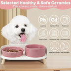 Elevated Slow Feeder Dog Bowls - Ceramic Food and Water Bowl Set with Stand - Raised Pet Dishes for Small and Medium Sized Dogs