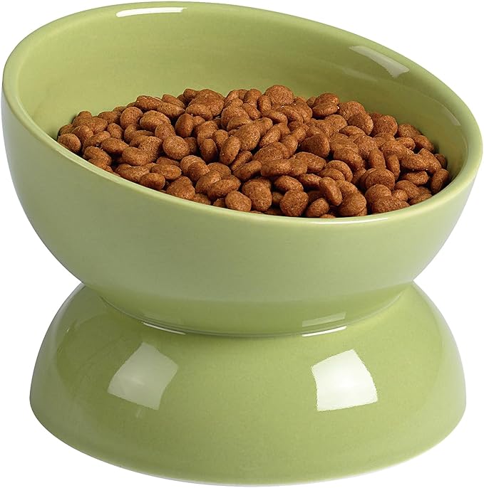 ABRUTY Cat Water Bowl, 16 OZ Ceramic Elevated Cat Bowls, 15° Tilted and Raised Pet Food Dish, Anti Vomiting Protect Pets' Spines and Whisker Fatigue
