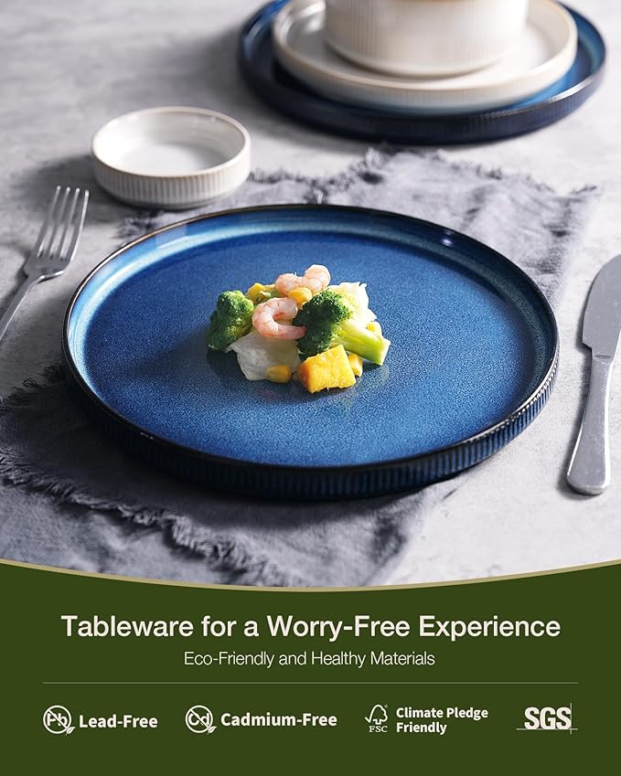 Famiware Star 12-Piece Stoneware Dinnerware Sets for 4, Modern Rustic Dishes for Everyday & Formal Use, Reactive Glaze Plates and Bowls, Chip/Scratch Resistant, Microwave/Dishwasher Safe, White & Blue