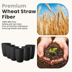 Homienly Wheat Straw Drinkware 12oz Unbreakable Drinking Glasses 6-Piece Stackable Kithen Cups Dishwasher and Microwave Safe Cups for Everyday Family Meals, Entertaining-Black