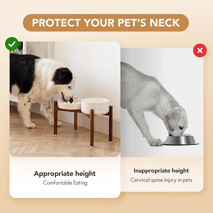 Havniva Ceramic 1.6 Cup Raised Slow Feeder Dog Bowl Set, Elevated 7.3inch Bowl and 8.2inch Slow Feeder Dish with Acacia Wood Stand for Medium and Large Dogs (2 x Reactived Glaze -White+ Stand)
