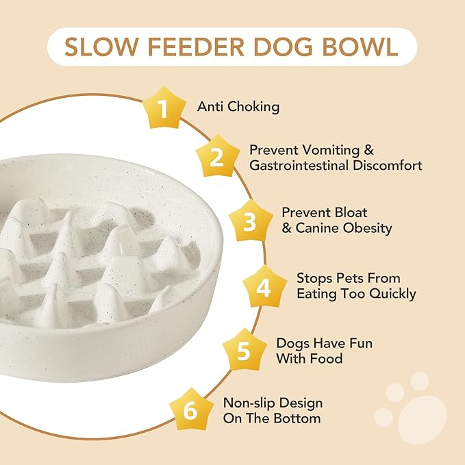 Havniva Ceramic 3.2 Cup Dog Bowl Slow Feeder, 9.5 inch Slow Pet Food Dish for Large Dog, Stop Bloat, Preventing Choking(Single Bowl, Vanilla White)