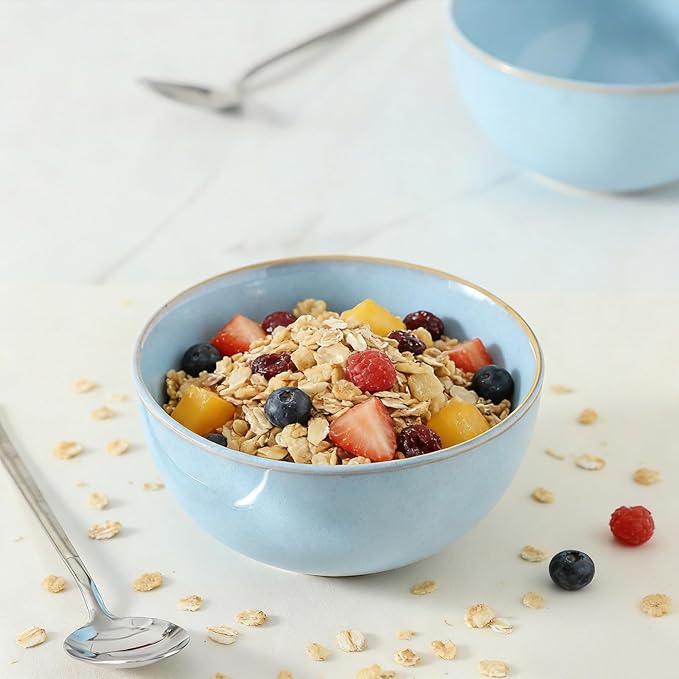 Cereal Bowls, 24 oz Ceramic Bowls Set of 4, Stoneware Bowl Set for Salad, Kitchen, Soup, Dessert, Ramen, Dishwasher and Microwave Safe, Skyblue