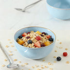 Cereal Bowls, 24 oz Ceramic Bowls Set of 4, Stoneware Bowl Set for Salad, Kitchen, Soup, Dessert, Ramen, Dishwasher and Microwave Safe, Skyblue