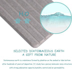 NiuYichee 2 PCS Water Absorbent diatomite Coasters, 8.3" x 4" Water Absorbing Stone Tray for Sink, Stone Drying mat for Kitchen Counter, Stone soap Tray Used for Hand Soaps & toiletries & Plants