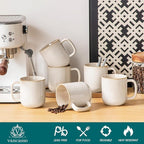 vancasso 16 oz Coffee Mugs Set of 6, Large Ceramic Mug with Handle, Unique Glaze Coffee Cups for Latte, Cappuccino & Hot Cocoa, Dishwasher & Microwave Safe, Beige, Series PLAYA