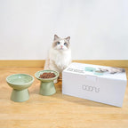 CEEFU 2 Elevated Ceramic Cat Bowls Extra Wide for Food & Water – Whisker Fatigue Shallow Food Dish, Lead & Cadmium-Free, Raised Height for Cats, Sage Green