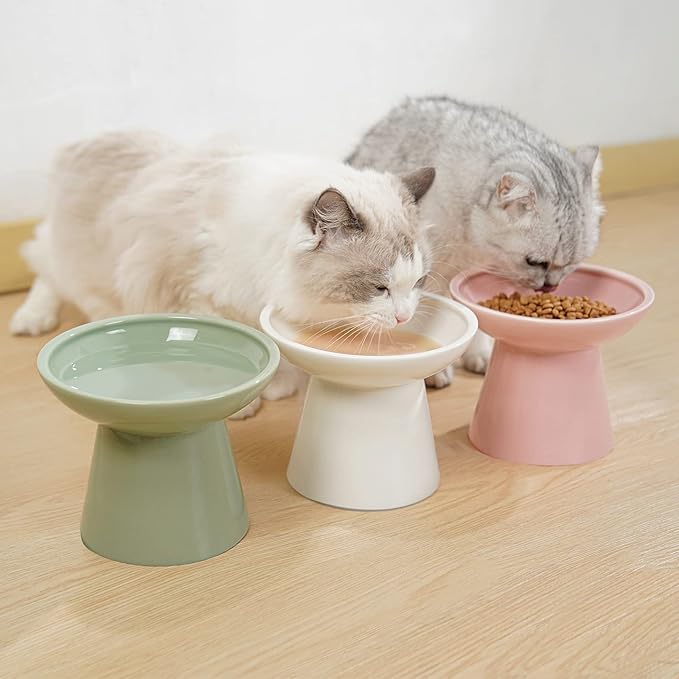 CEEFU Extra Wide Elevated Ceramic Cat Bowl, 6.2" Shallow Dish for Whisker Fatigue Relief, 5" Height for Easy Feeding, Durable Raised Cat Food Bowls, Pack of 2, Blue