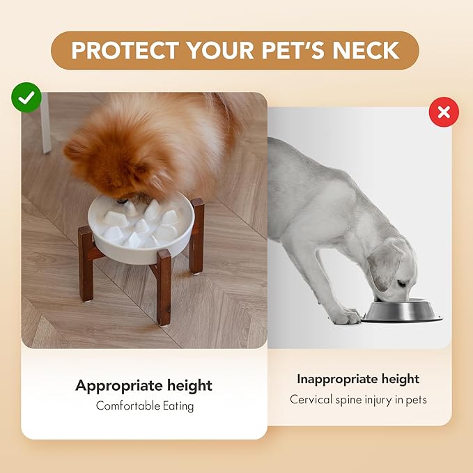 Havniva Ceramic 1.2 Cup Dog Raised Slow Feeder Set, Elevated Bowl with Wooden Stand for Medium and Small Dog, 7.3inch Slow Feeder Dish for Fast Easters(Single Bowl+ Stand, Reactived Glaze -White)