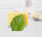 dgudgu Leaf Sponge Holder for Kitchen Sink – Teal Green Ceramic Sponge Caddy, Decorative Leaf Shaped Sink Organizer, Nature Inspired Kitchen Décor, Dishwasher Safe