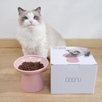 CEEFU Extra Wide Elevated Ceramic Cat Bowl, 6.2" Shallow Dish for Whisker Fatigue Relief, 5" Height for Easy Feeding, Durable Raised Cat Food Bowls, Pack of 2, Pink
