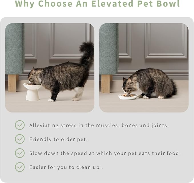CEEFU 2 Elevated Ceramic Cat Bowls Extra Wide for Food & Water – Whisker Fatigue Shallow Food Dish, Lead & Cadmium-Free, Raised Height for Cats and Dogs, Two Different Depth Bowls, White