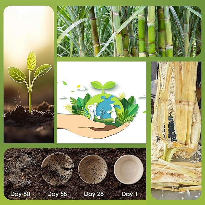 ECOLipak 32 OZ Large Compostable Disposable Paper Bowls, 70 Pack Biodegradable Bagasse Eco-Friendly Sugarcane Bowls for Soup, Salad, Ramen, Popcorn(Nature)
