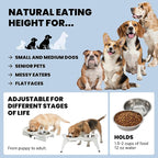MalsiPree Elevated Dog Bowls for Small Dogs - 6.5" Raised Dog Bowl Stand with Splash Guard - Portable Folding Pet Feeding Station with 2 Stainless Steel Bowls - Dog Birthday & Adoption Gift, White