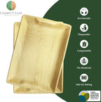 Charity Leaf Disposable Palm Leaf 14" x 10" Trays (100 Pieces) Bamboo Like Serving Platters, Disposable Boards, Eco-Friendly Dinnerware for Weddings, Catering, Events