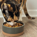 Mora Ceramic Pet Bowl Size Small - Food/Water Dish for Puppy Dogs, Cats, Guinea Pig, Rabbit, Hamster, Snake, ect. 11oz or 2 Cups - Basic Bowls for Your Dog or Cat, Mix and Match for a Set - Charcoal