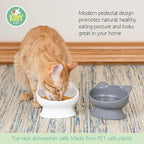 Kitty City Elevated Cat Bowls (Set of 2), Whisker-Friendly Raised Cat Food & Water Dishes, Modern Pedestal Design, Dishwasher Safe, 6.5 oz Each – White & Gray