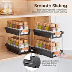 Delamu 2 Pack Pull Out Spice Rack Organizer for Cabinet, 2 Tier Slide Out Spice Organization, Vertical Spice Organizer, Cabinet Size Need:12.5'' High x 11'' Deep x 5.5'' Wide(Not for Cabinet with Lip)