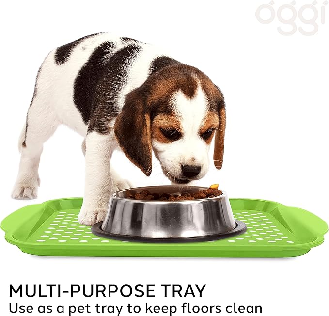 Oggi Rectangle Non Skid Rubber Grip Serving Tray, Green 17.5 x 11.5"