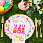 Hioasis 175pcs Easter Plastic Plates, Bunny Plastic Disposable Dinnerware Set Include 25 Dinner Plates, 25 Dessert Plates, 25 Forks, 25 Knives, 25 Spoons, 25 Napkins，25 Cups Perfect for Easter Party
