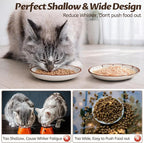 WROSWT Clock Cat Food Bowl,Non-Slip Silicone Bottom Cat Bowls for Indoor Cats,Anti Whisker Fatigue Cats Dishes Set,Shallow Wide Kitten Plates for Food and Water,3 Pack
