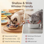 Ceramic Cat Food Bowls 6 Pack – Shallow Cat Bowl with Non-Slip Silicone Base, Whisker-Fatigue Dishes for Indoor Cats Puppy – Microwave Dishwasher Safe – 5.3 oz Cute Pet Plates for Wet Dry Food Water