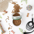 Bone Dry Paw & Patch Ceramic Pet Collection, Medium Set, 6x2, Hunter Green, 2 Piece (5742)