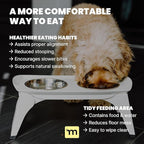 MalsiPree Elevated Dog Bowls for Small Dogs - 6.5" Raised Dog Bowl Stand with Splash Guard - Portable Folding Pet Feeding Station with 2 Stainless Steel Bowls - Dog Birthday & Adoption Gift, White