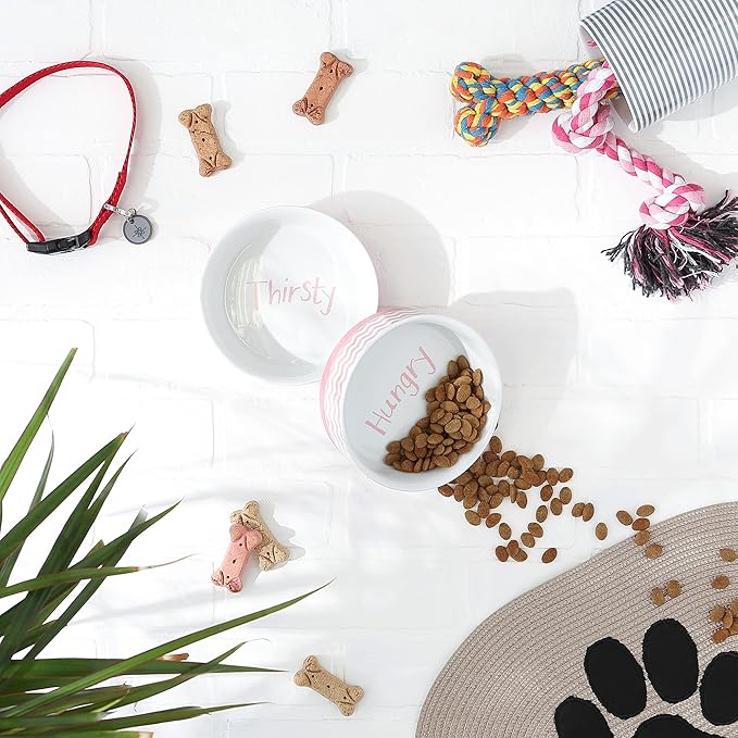 Bone Dry Ceramic Pet Collection Chevron, Medium Set, 6x2, Pink, 2 Piece
