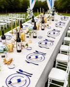 BESTVIP 175Pcs Clear Blue Plastic Plates for Party, Disposable Clear Dinnerware Set for 25 Guests, 50 Plastic Plates, 25 Cups, 25 Pre-Rolled Napkins with Cutlery for Party, Wedding, Christmas