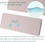 NiuYichee 2 Pcs Water Absorbing Stone Trays, Kitchen/Bathroom Sink Soap Dish, Diatomite Tray Used for Hand Soap & Cosmetic Bottles in The Modern Home, 3.15" W x 8.7" L, Light Gray