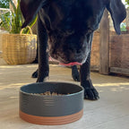 Mora Ceramic Pet Bowl - Large Food/Water Dish for Large Dogs, Cats, Great Dane, Mastiff - 50oz or 8 Cups - Basic Bowls - Charcoal
