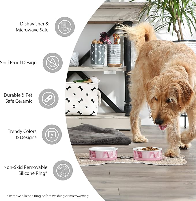 Bone Dry Ceramic Pet Collection Chevron, Medium Set, 6x2, Pink, 2 Piece