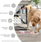 Bone Dry Ceramic Pet Collection Chevron, Small Set, 4.25x2, Gray, 2 Piece (Pack of 2)