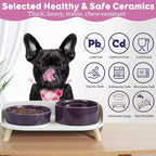 Elevated Slow Feeder Dog Bowls - Ceramic Food and Water Bowl Set with Stand - Raised Pet Dishes for Small and Medium Sized Dogs
