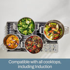 All-Clad Stockpot 12 qt Stainless Steel Multipot With Insert & Lid, Stainless Steel Pot, Induction, Oven Broiler Safe 600F Skillet, Professional Cookware, Silver
