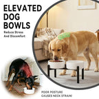 Dog Bowls Elevated - Ceramic Raised Dog Bowl with Non Slip Steel Stainless Stand - No Spill and Heated Feeding Station - Food and Water Dish Set for Medium to Large Pet - Each Holds 7.5 Cups – White