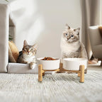 Elevated Ceramic Dog Bowl Set - Raised Feeding Bowls with Non-Slip Bamboo Stand - Small Pet Dishes for Food and Water - Ideal for Cats and Puppies - 16.23 OZ - 2 Cups - 480 ML