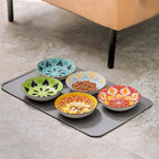 Boho 5 Ceramic Cat Bowls with Silicone Mat, 5.5 inch Wide Shallow Cat Food Bowl for Whisker Relief