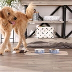 Bone Dry Ceramic Marble Non-Slip Pet Bowls, Dishwasher Safe, Medium Set, 6x2, Blue, 2 Count