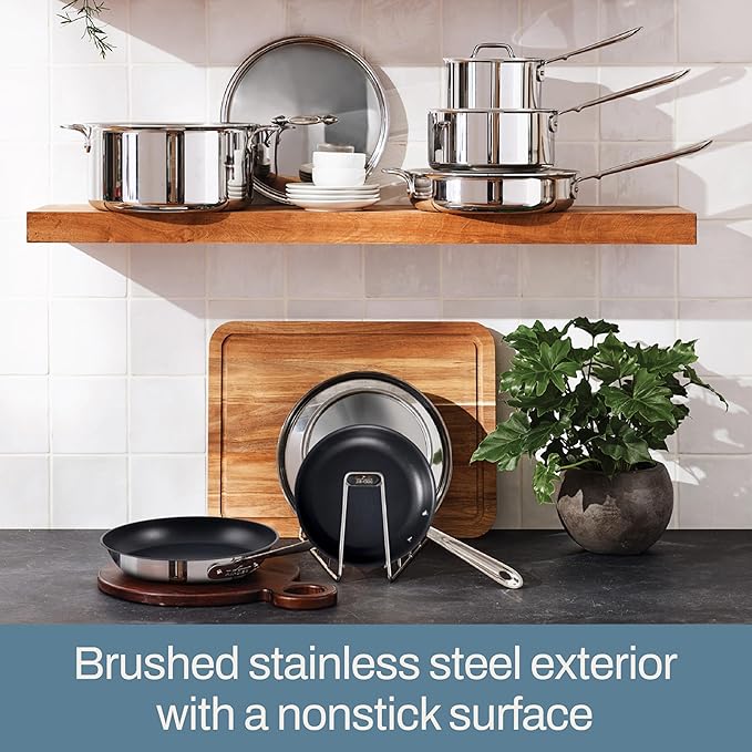 All-Clad D5 10 Inch Brushed Stainless Steel Pro Non Stick Frying pan, 5-Ply Stainless Steel Pan, Induction, Oven Broiler Safe 500F, Pancake Egg Pan, Skillet, Professional Cookware, Silver