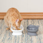Kitty City Elevated Slow Feeder Cat Bowls (Set of 2), Whisker-Friendly Raised Cat Food Dishes with Ridges, Helps Reduce Fast Eating & Digestion Issues, Dishwasher Safe, 10.8 oz – White & Gray
