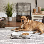 Bone Dry Paw & Patch Ceramic Pet Collection, Large Set, 7.5x2.4", Gray, 2 Piece