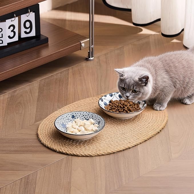 Ceramic Cat Bowls Set of 2, Vintage Blue and White Pet Dog Bowl for Food & Water, 5.5 in Small Kitten Wide Shallow Dishes for Indoor Cats