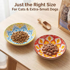 Ceramic Cat Food Bowls 6 Pack – Shallow Cat Bowl with Non-Slip Silicone Base, Whisker-Fatigue Dishes for Indoor Cats Puppy – Microwave Dishwasher Safe – 5.3 oz Cute Pet Plates for Wet Dry Food Water