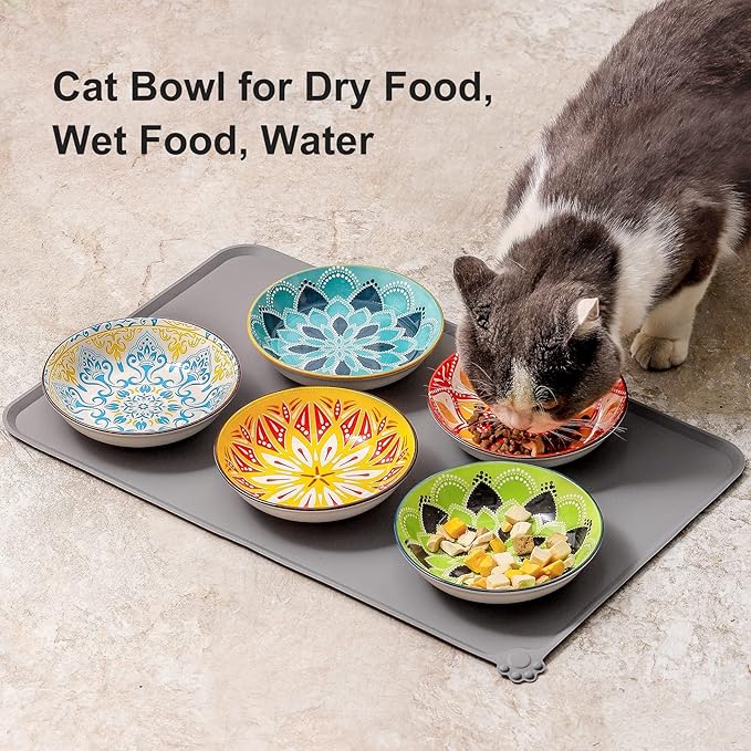 Boho 5 Ceramic Cat Bowls with Silicone Mat, 5.5 inch Wide Shallow Cat Food Bowl for Whisker Relief