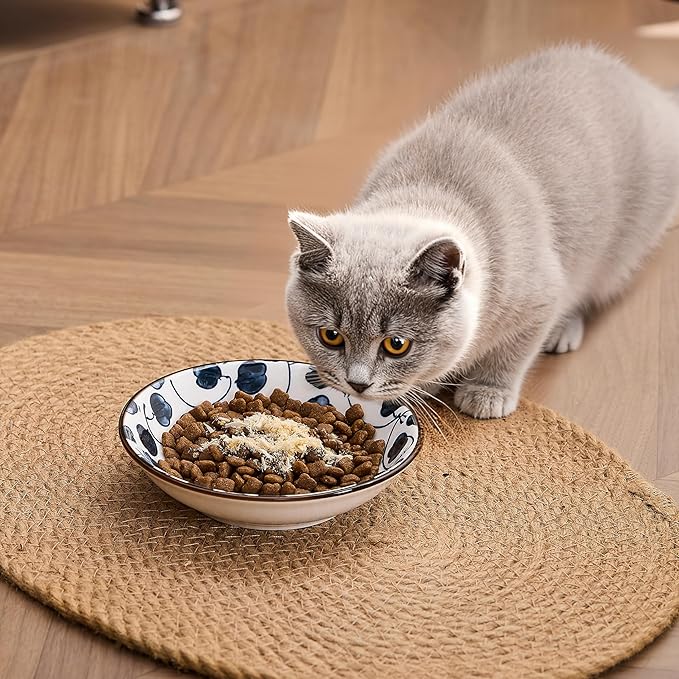 Ceramic Cat Bowls Set of 2, Vintage Blue and White Pet Dog Bowl for Food & Water, 5.5 in Small Kitten Wide Shallow Dishes for Indoor Cats
