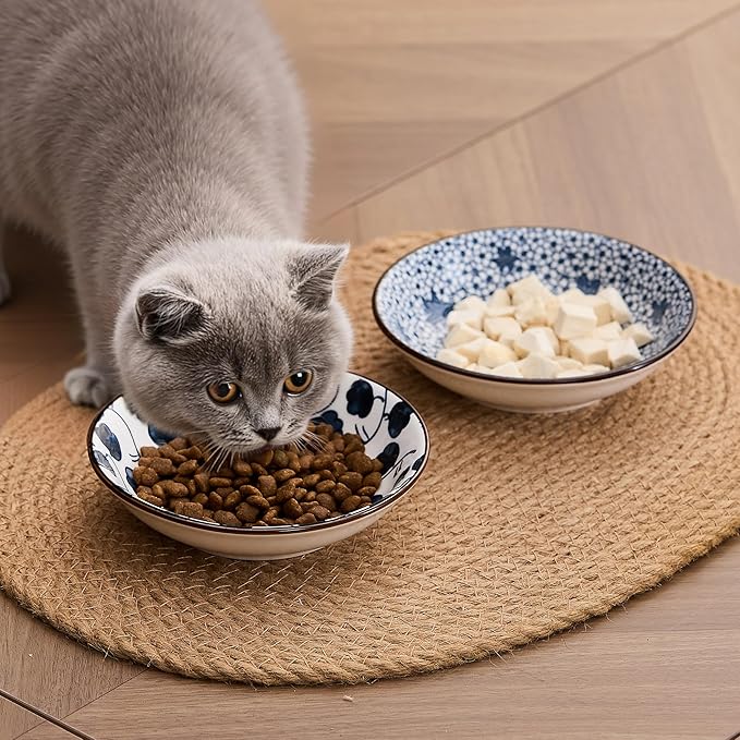 Ceramic Cat Bowls Set of 2, Vintage Blue and White Pet Dog Bowl for Food & Water, 5.5 in Small Kitten Wide Shallow Dishes for Indoor Cats